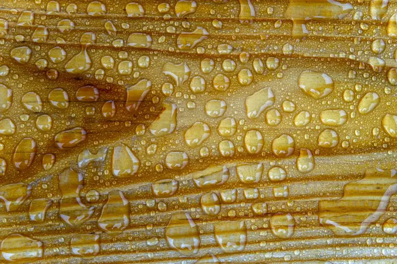 梯博士解析别墅实木楼梯定制中木材含水率控制的关键技术要点正文配图 1